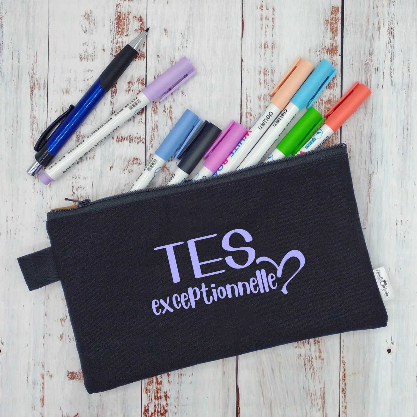 (CHOIX COULEURS & PROFESSION) Étui à crayons - TES (ou autre) exceptionnelle - v2