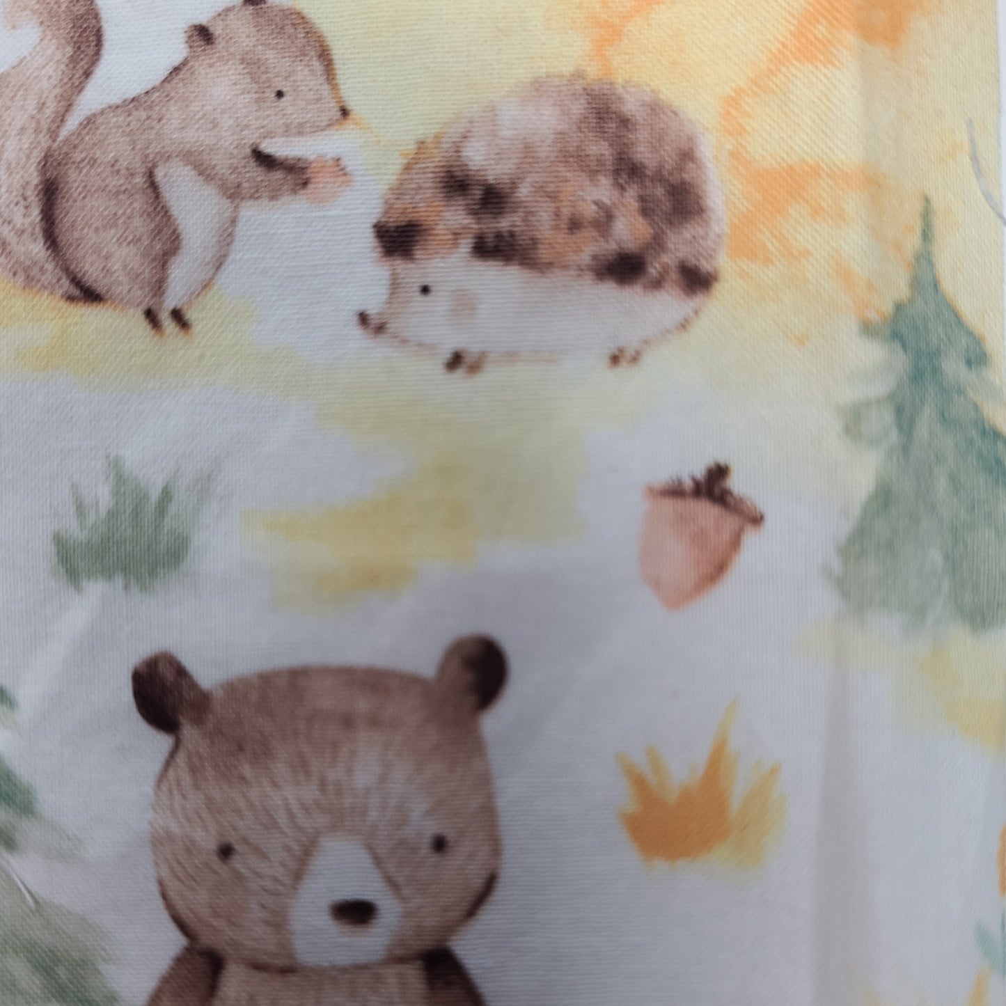 Protège-carnet de santé - Vaccination - Personnalisé - Animaux - Ours, Écureuil & Hérissons