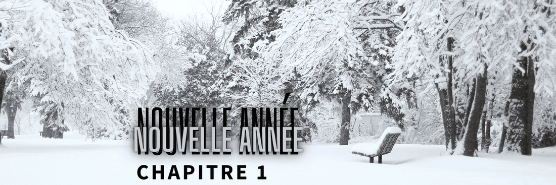 CHAPITRE 1 - Nouvelle année