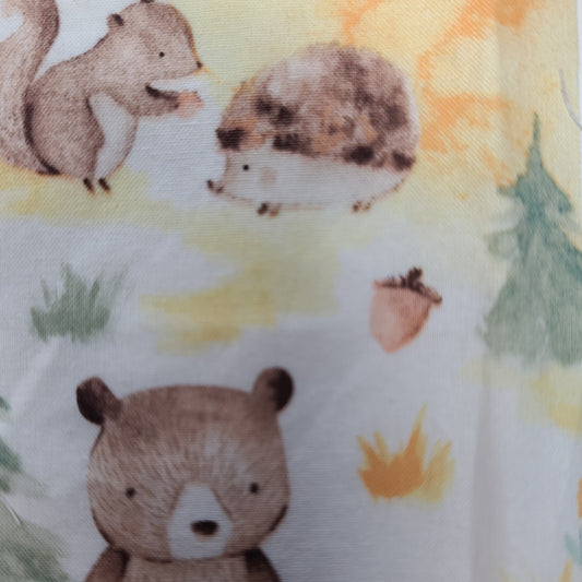 Protège-carnet de santé - Vaccination - Personnalisé - Animaux - Ours, Écureuil & Hérissons