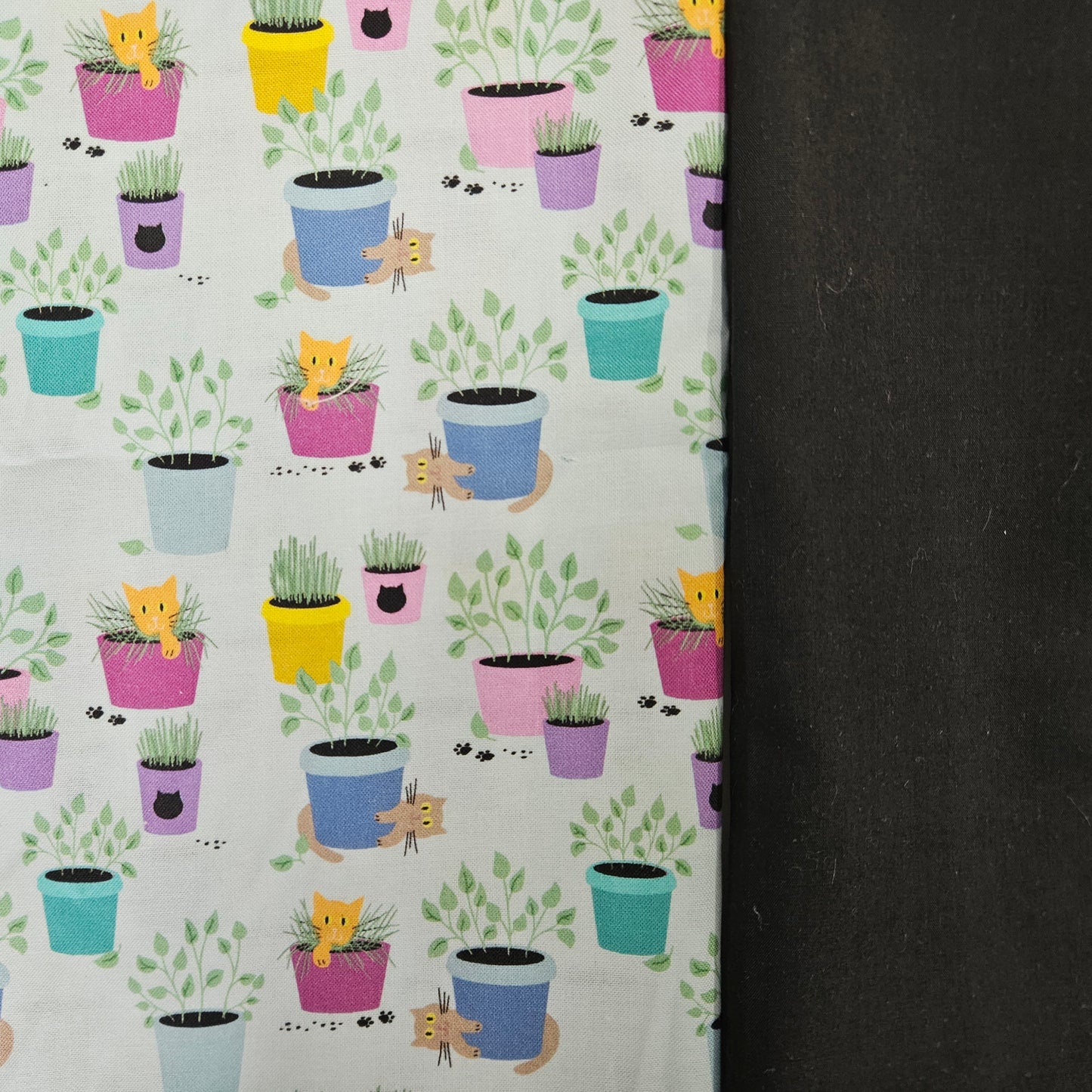 Napperon personnalisé (Couleur d'impression au choix) - Fleurs - Pots de fleurs & Chats - Pochette noire